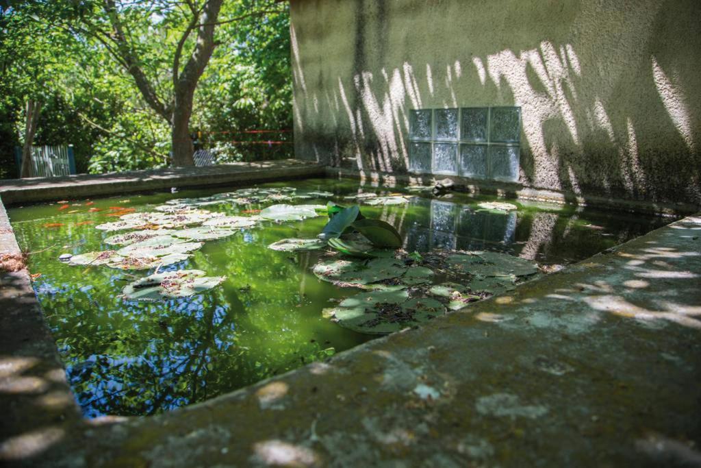 Authentique Mas Provencal Gemenosヴィラ エクステリア 写真