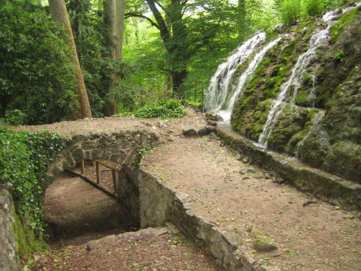 Authentique Mas Provencal Gemenosヴィラ エクステリア 写真